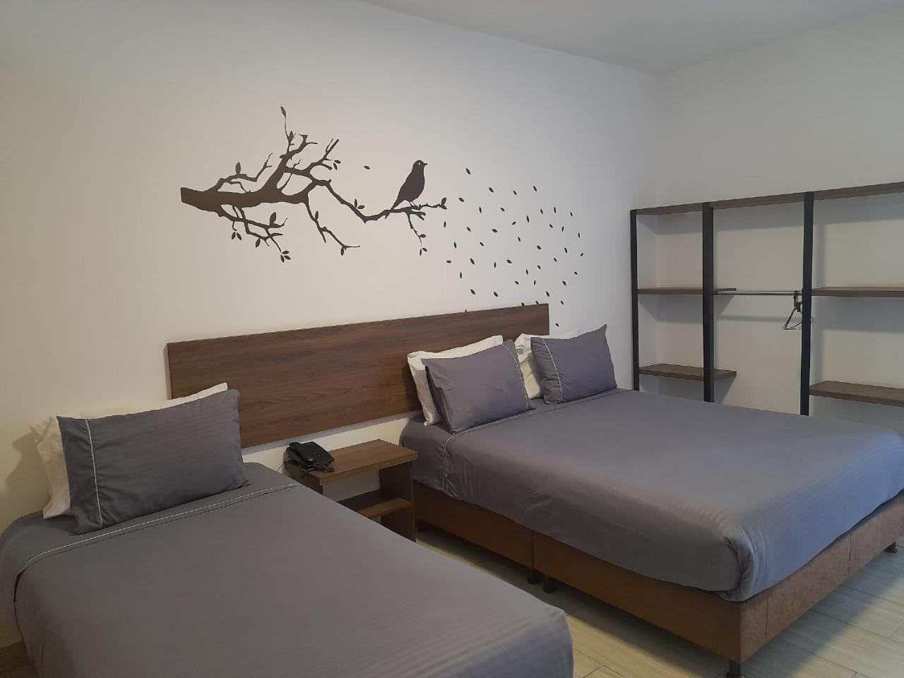 Hotel Entre Lomas Santa Rosa de Cabal Eksteriør bilde